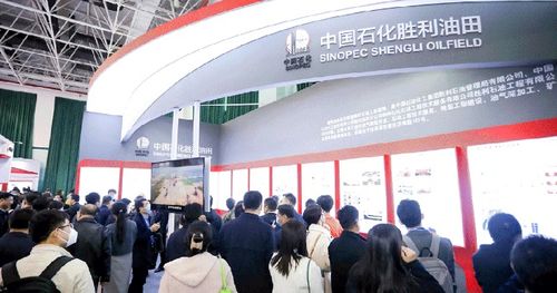 2024中國油氣開發(fā)技術(shù)年會 聚焦提質(zhì)增效，共繪能源新藍(lán)圖